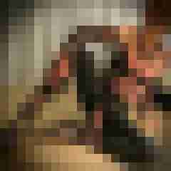 analoxx
