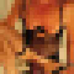 analoxx