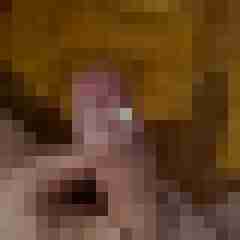 funratte