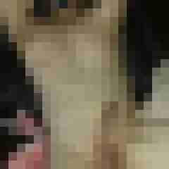 Willi007