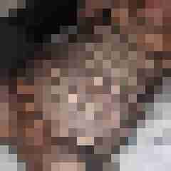 madu72do