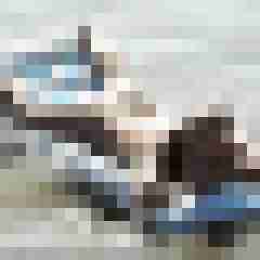 greybird76