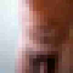 hausfreund_nbg
