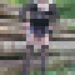 franzie01