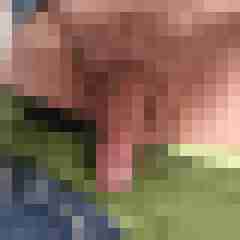 Sweeny91