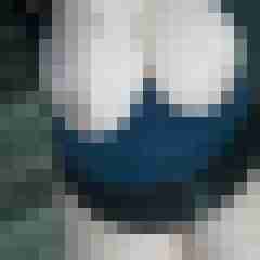 Mistbiene