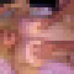 picturefreak