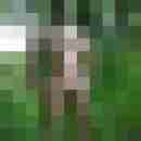 enrico12