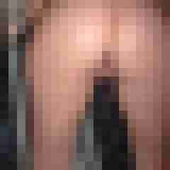 sir_dom