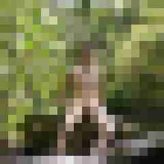 naturalboy941