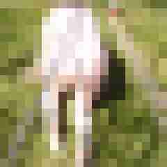 Letsy4u2c