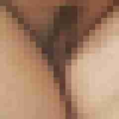 friendly_cock