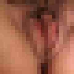Regi80