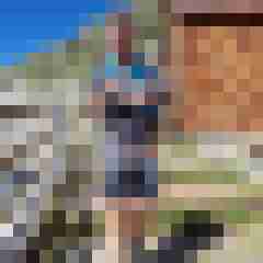 Laubfrosch81