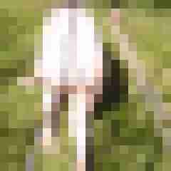 Letsy4u2c