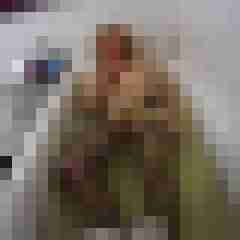 Vivien_Dumont