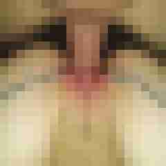dendom81