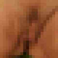 friendly_cock