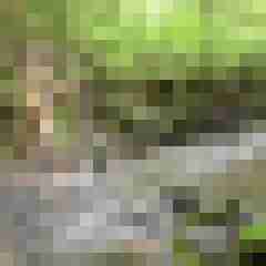 naturalboy941