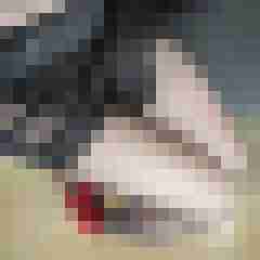 AnaStockings