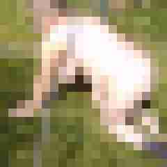Letsy4u2c