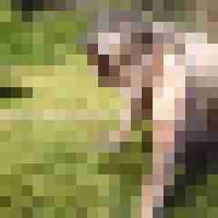 Letsy4u2c