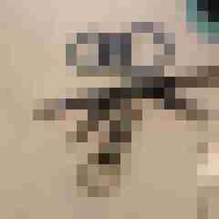 Frankbi46
