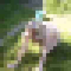 Letsy4u2c