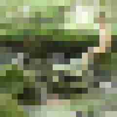 naturalboy941