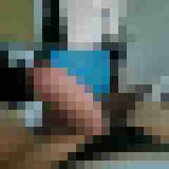 Hbs91