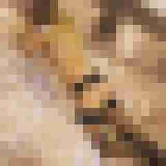 poppen72108