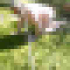 Letsy4u2c