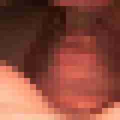 robertbilive