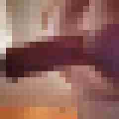 Tomxx494