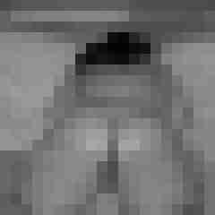 arschstute