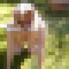 Letsy4u2c