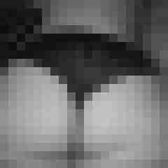 arschstute