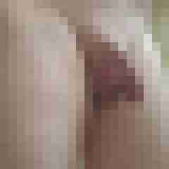 Willi007