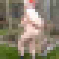Letsy4u2c