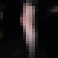 truckinnylons