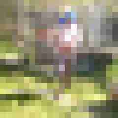 Letsy4u2c
