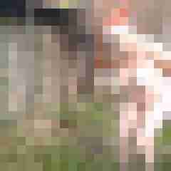 Letsy4u2c