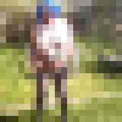 Letsy4u2c