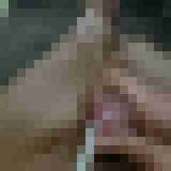 neu_hier73