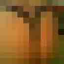 westerwaldpaar6