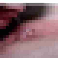 picturefreak
