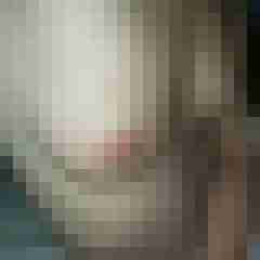 cgn_spotlight