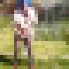 Letsy4u2c