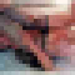 LustLady72