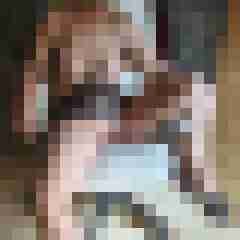 LustLady72